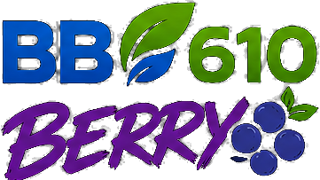 BB610 BERRY